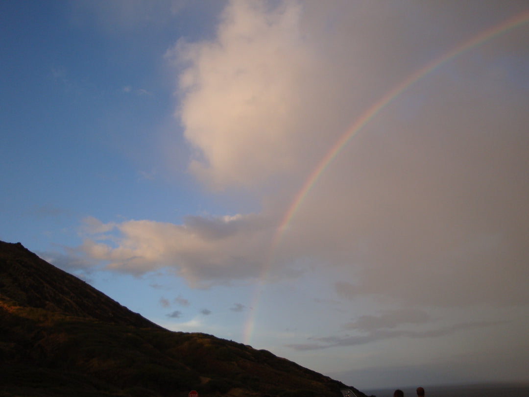 価格改定のお知らせ